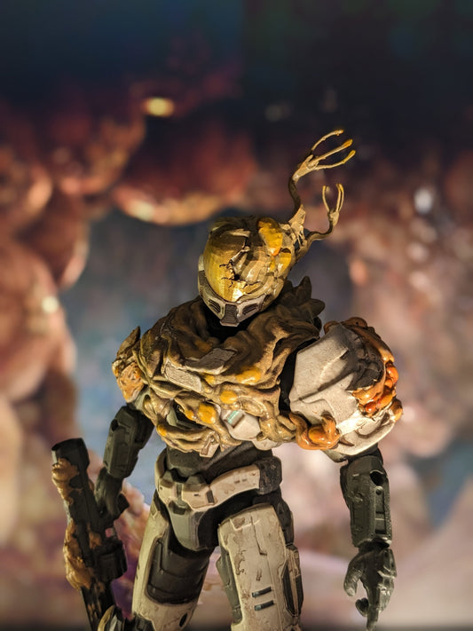 Spartan Collection (6.5in) Flood Kit.